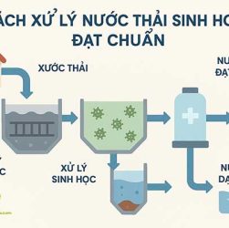 cach-xu-ly-nuoc-thai-sinh-hoat-dat-chuan-dung-de-moi-truong-len-tieng4