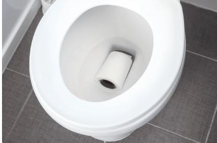 Nguyên nhân phổ biến khiến bồn cầu bị tắc